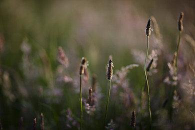 不再坚守3A？Techland计划每3-4年就发售一款新作